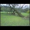 DSC00307.JPG