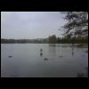 DSC00336.JPG