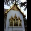 DSC00342.JPG