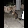 IMG_4068.JPG